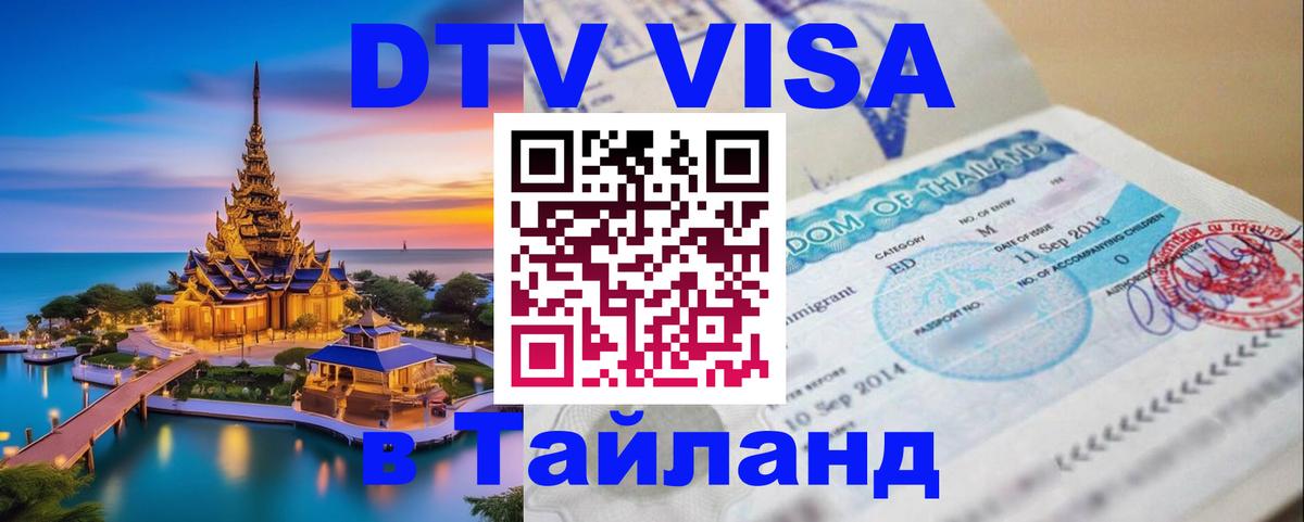 Сколько стоит DTV виза — актуальные цены, оформление даже без документов - Альметьевск  19.11.2025 